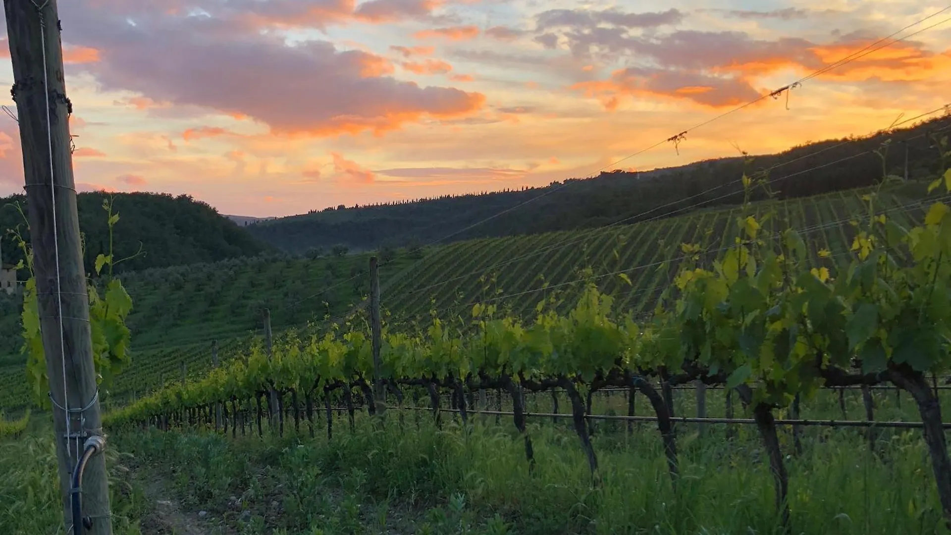 Crognole 6, Emma Villas Radda in Chianti 0*,  Italy